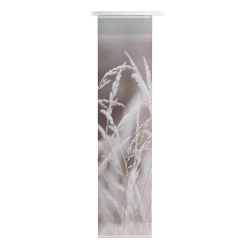 Schiebevorhang gordo 60x260 - 60x260, cm